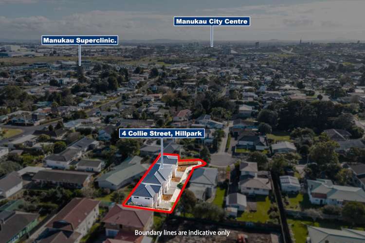 4b Collie Street Hill Park_25