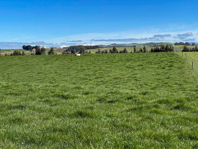 286 Feldwick Road Otautau_3