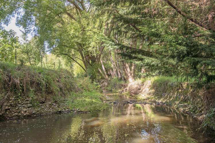 57 Station Road Loburn_12