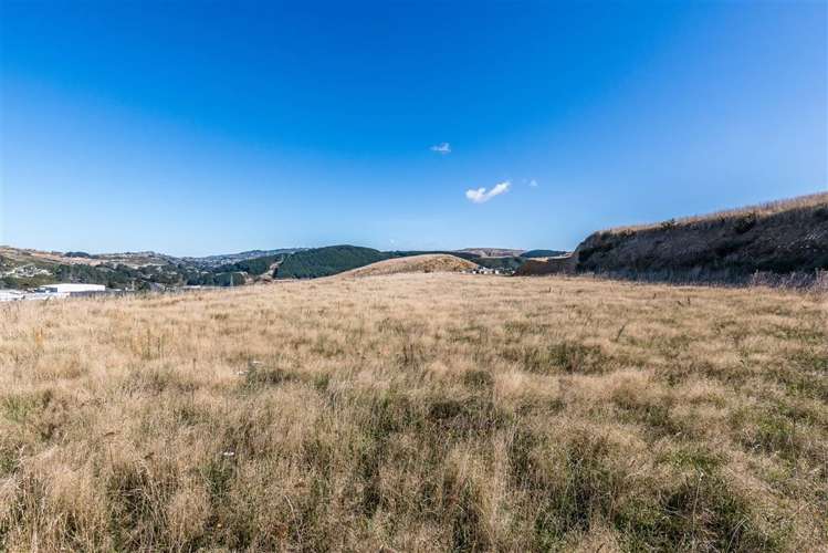 72 Bing Lucas Drive Tawa_2