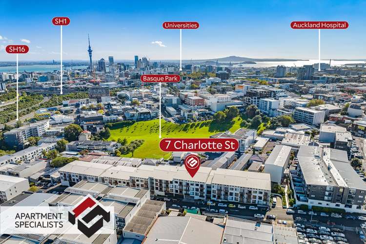 7 Charlotte Street Eden Terrace_11