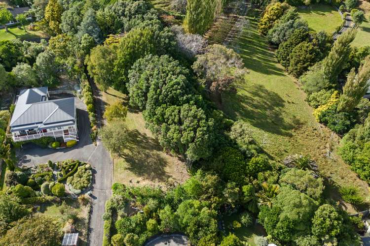 33 Kakariki Grove Waikanae_5