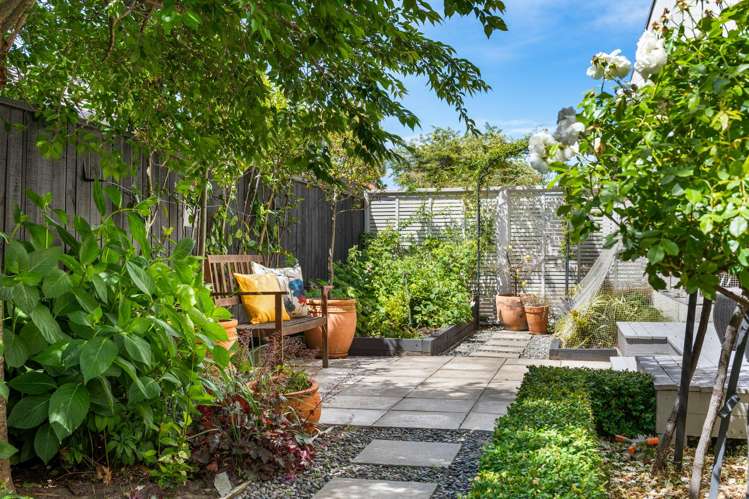 223a Redwood Street Witherlea_20