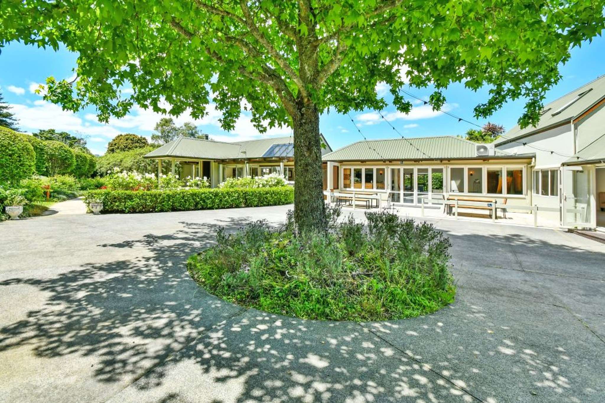 ‘It’s magic here’ - two homes, ready-made business in south Auckland for sale