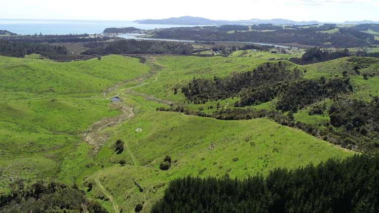 211 Parapara Road Taipa_9