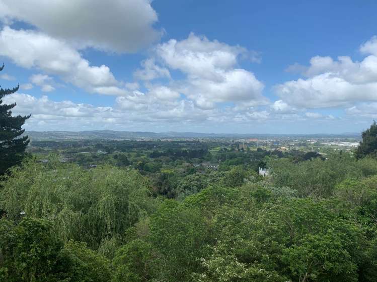 245d Hill Road The Gardens_39