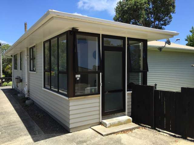 17 Hinau Street New Lynn_1