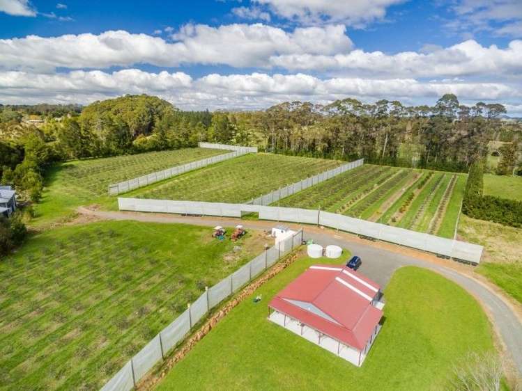 145a Waimate North Road Kerikeri_15