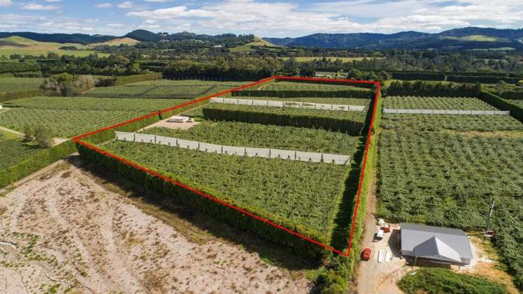 748 No 1 Road Te Puke_5