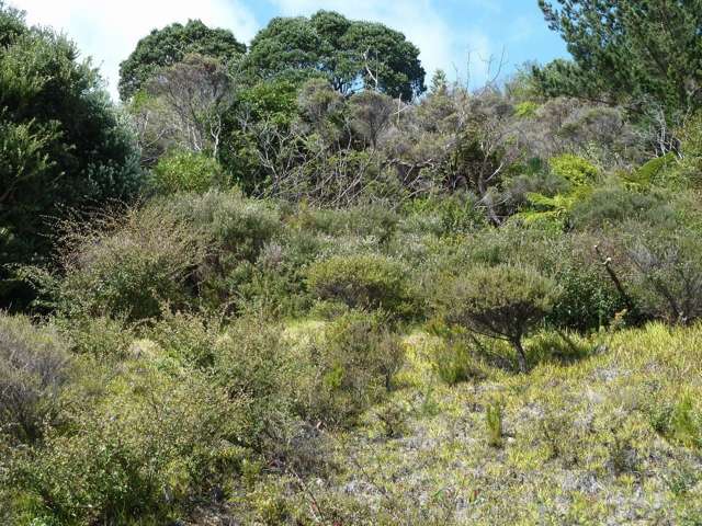 7 Fantail Terrace Tairua_3