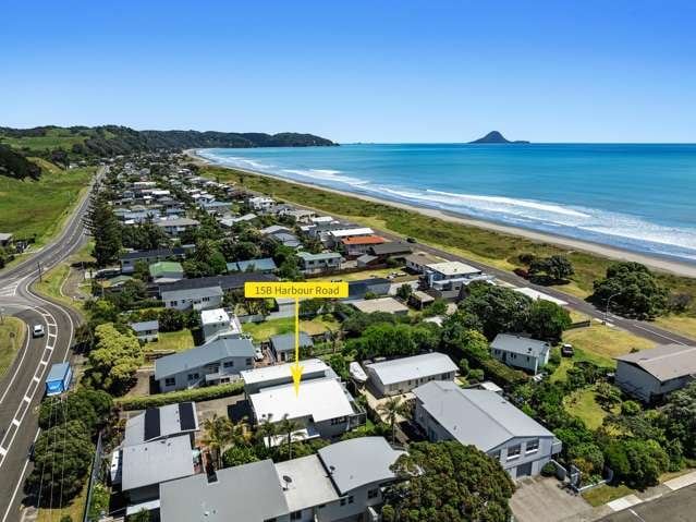 Your Ohope Beach Escape Awaits This Christmas!