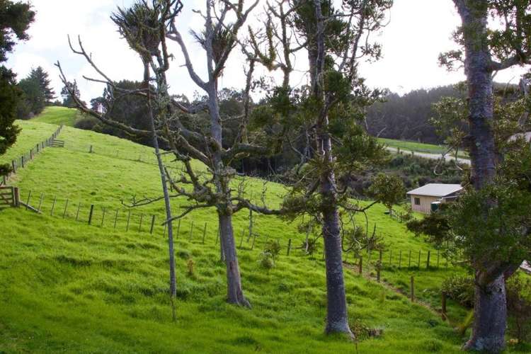 55 Moses Road Kaukapakapa_15