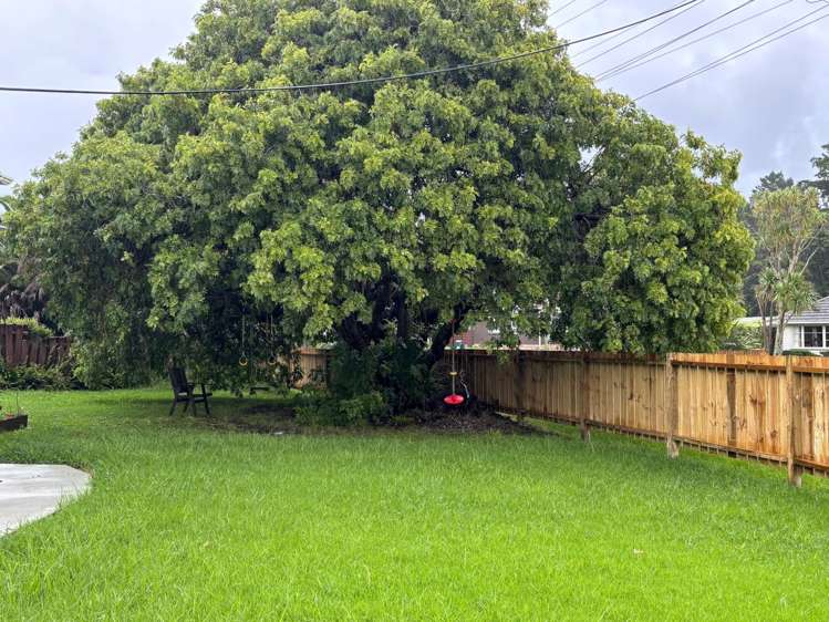 54 Smythe Road Henderson_13