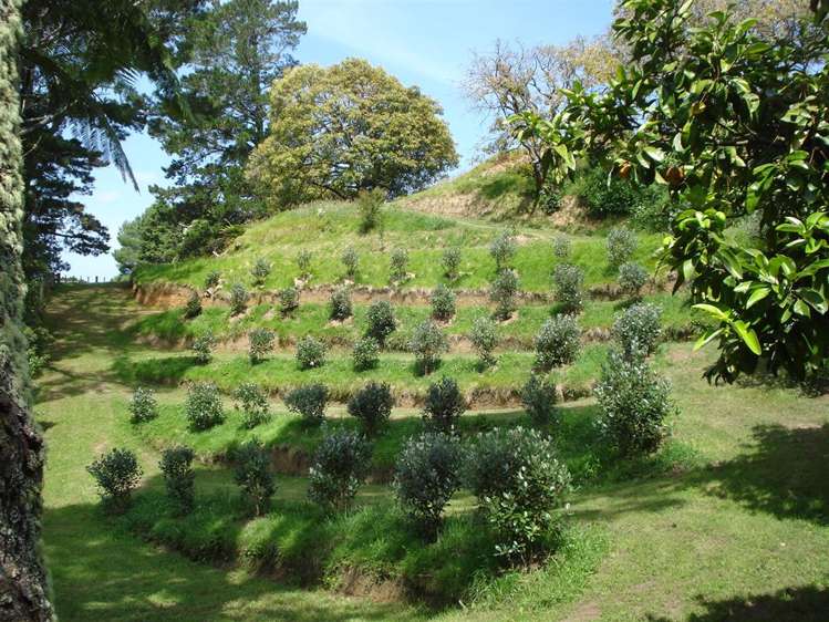 292 Lindemann Road Hauraki Surrounds_17