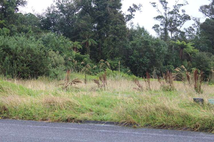 38 Donovan Drive Franz Josef Glacier_4