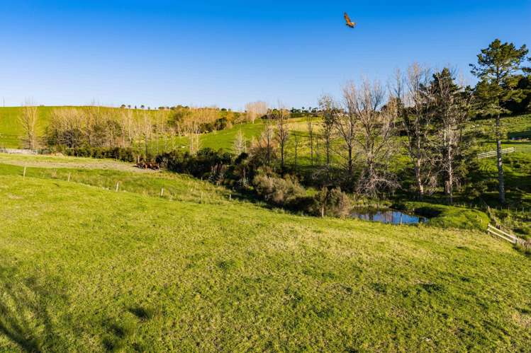 715 Three Mile Bush Road Ruatangata West_21