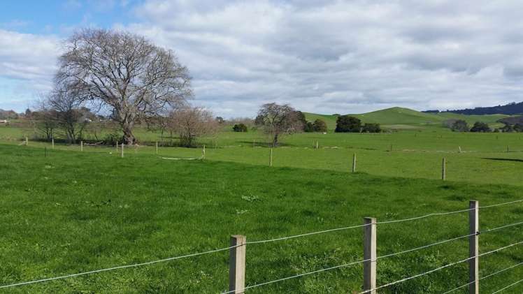 Morrinsville-Tahuna Road Morrinsville_9