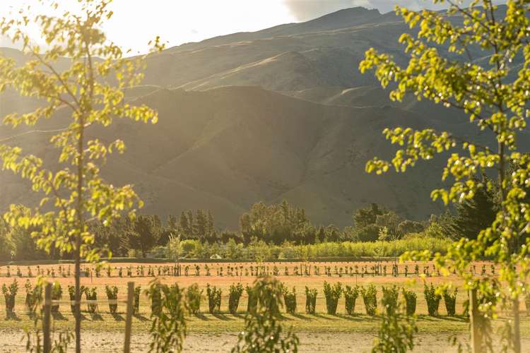 77 Stone Drive Cromwell_18