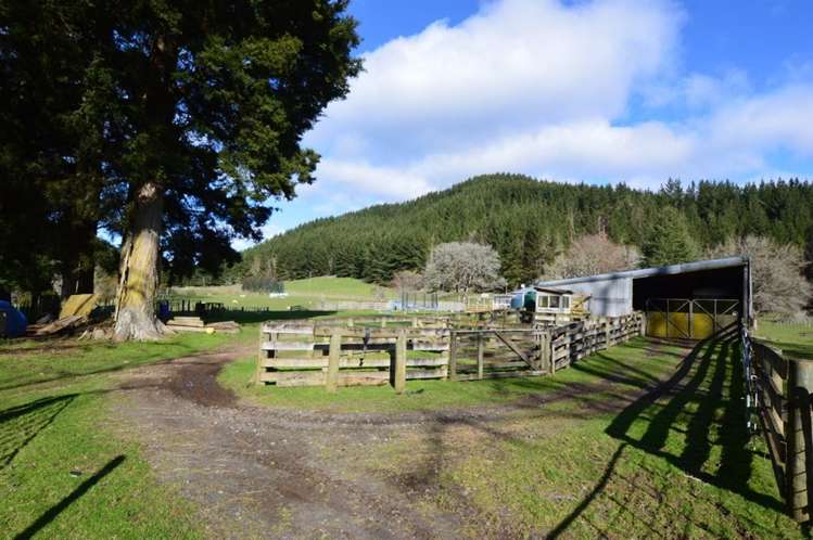 1513 Hikumutu Road Taumarunui_37