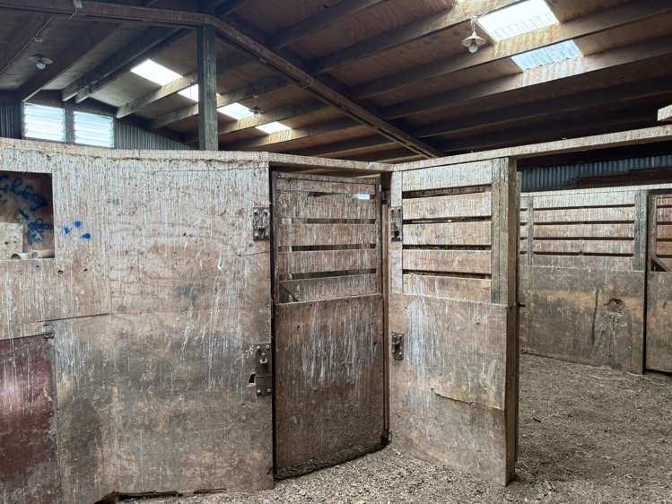 389 Mckenzie Road Browns_7