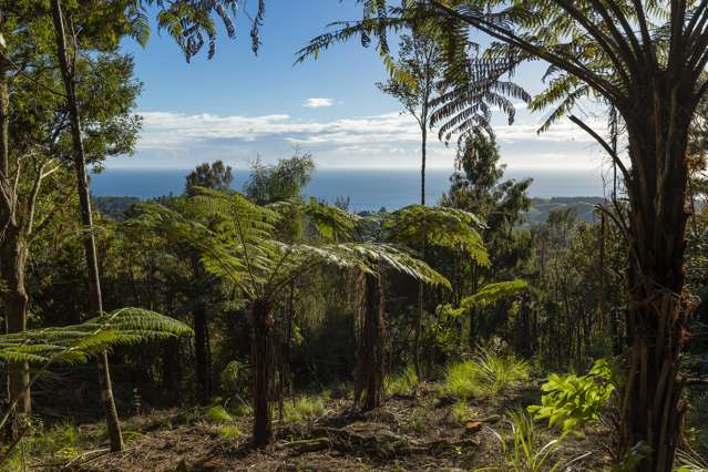 lot 3/1070 Wainui Road Kaeo_4