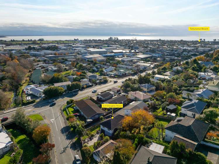1/3 Douglas Road Wakatu_19