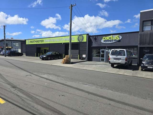 118 Nelson Street Petone_2