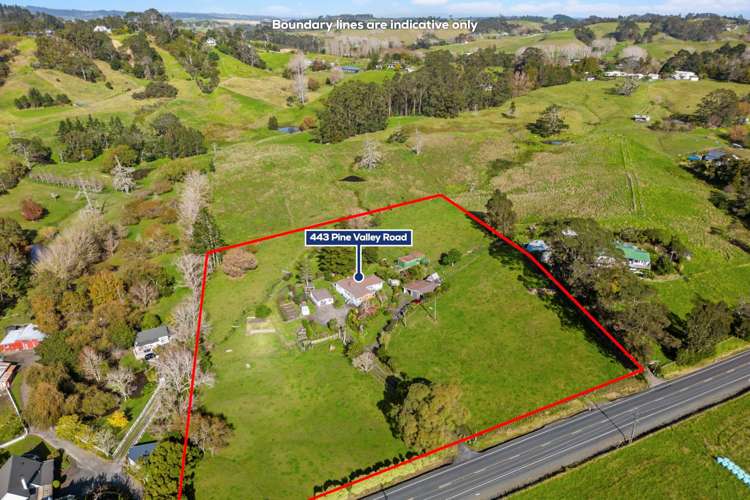 443 Pine Valley Road Dairy Flat_21