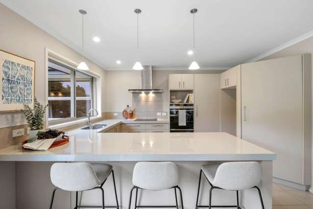 181 Taylor Pass Road Witherlea_1