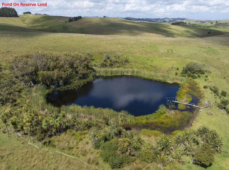 33 Taipa View Road Taipa_14