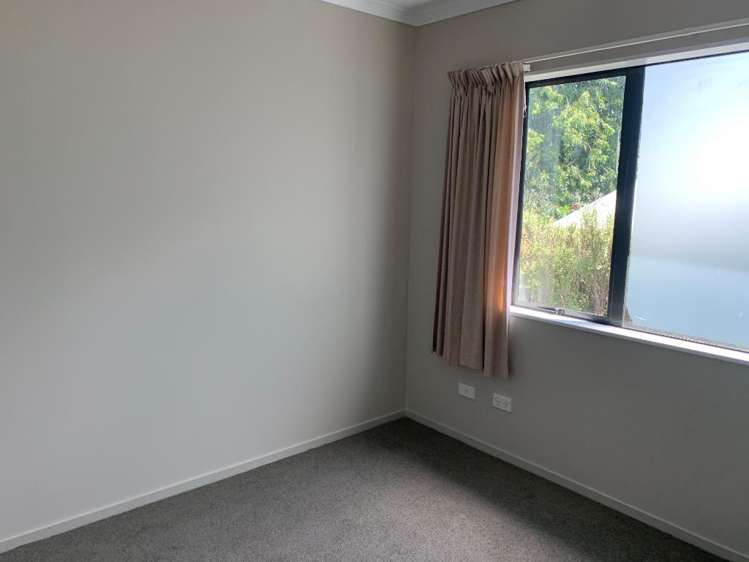 221b Fox Street Hamilton East_8