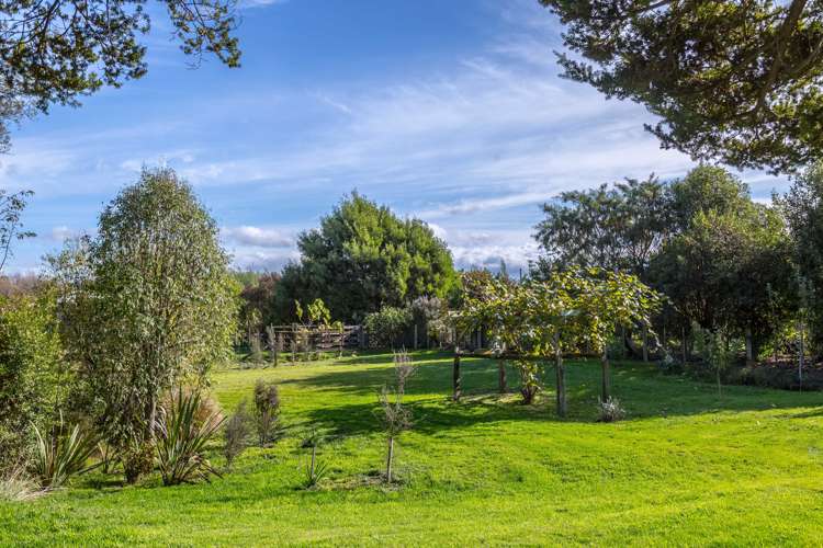 79 Oxford Street Masterton_5