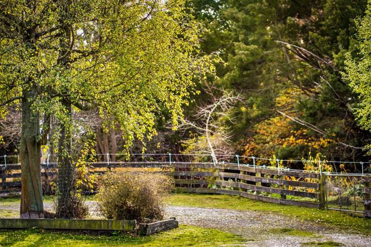 321 Southbridge Leeston Road Leeston_21