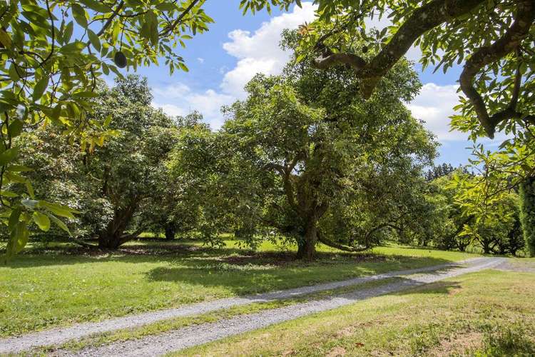 140A Wharawhara Road Katikati_31