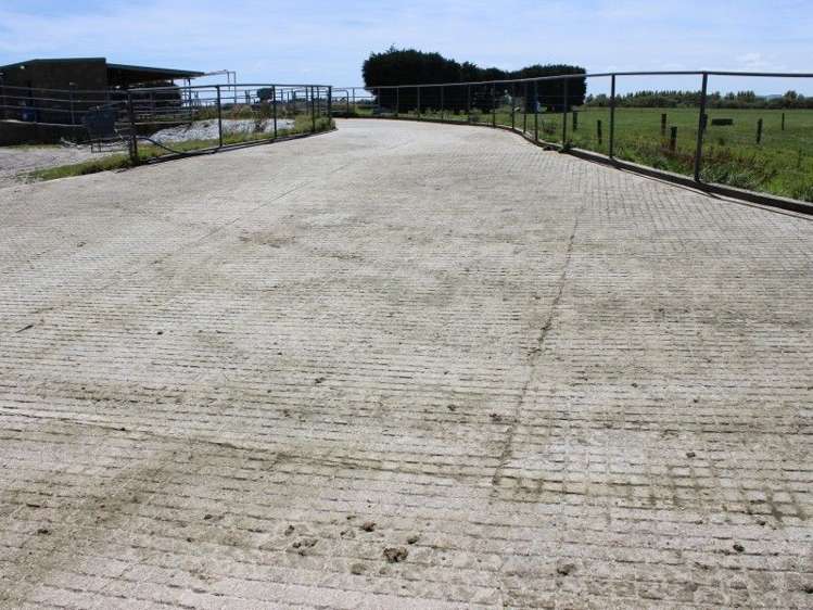 247 Mataura Island Road Wyndham Surrounds_6