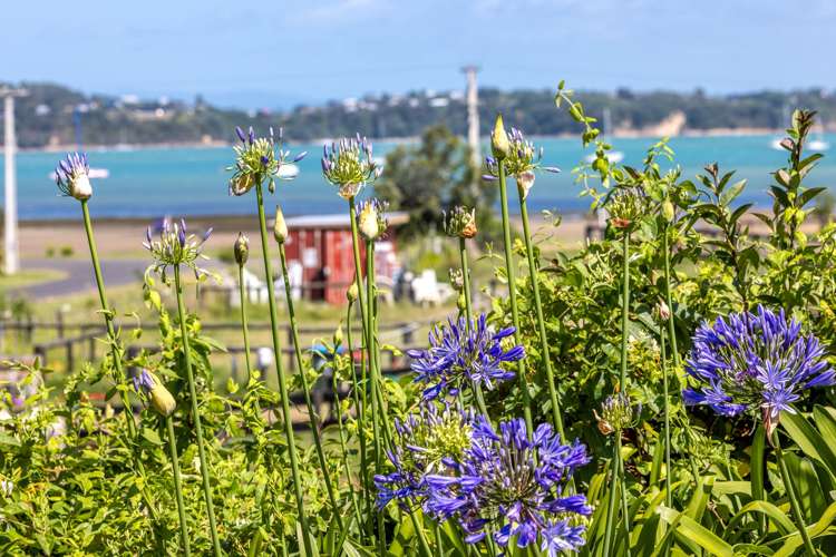 49 Tahatai Road Oneroa_21