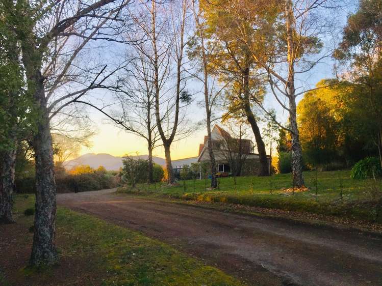 49 Ribbonwood Road Geraldine_21