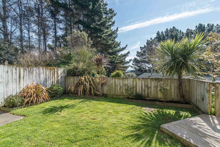 19a Cunliffe Street Johnsonville_12