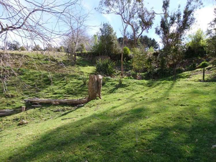 31 Richardson Avenue Whataupoko_5