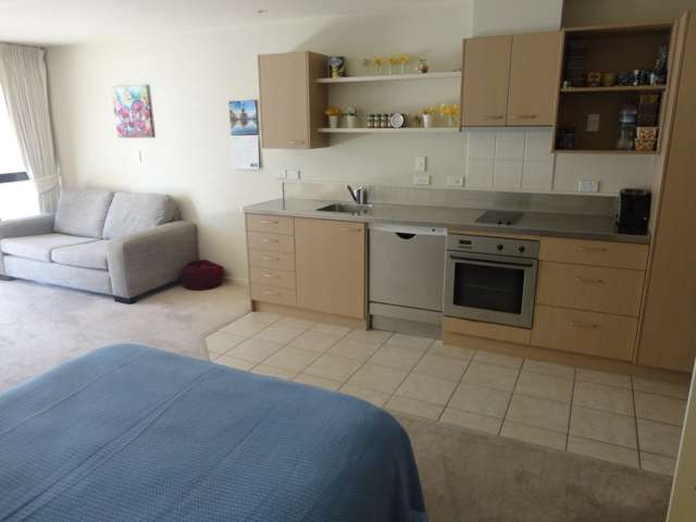 8b/31 Day Street Auckland Central_2