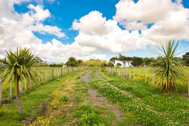 70 Grigg Street Kaitaia_3