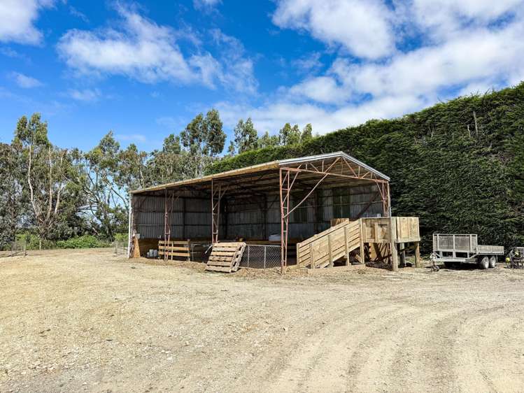 545 Coal Pit Wyndham_17