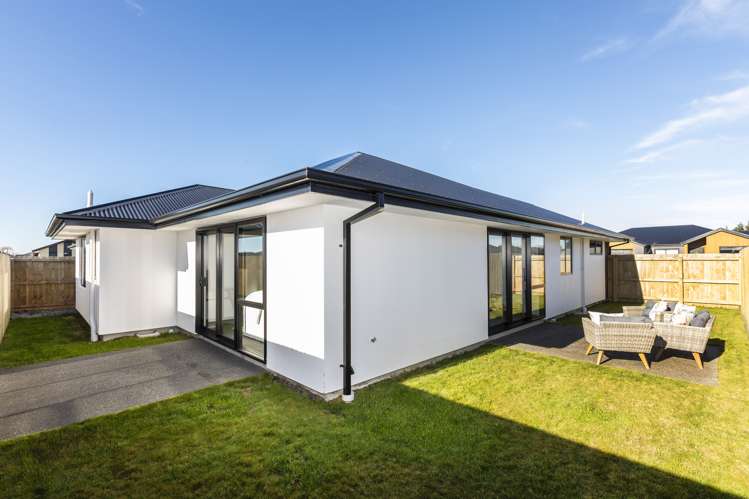 27 Sarah Nicholls Street Belfast_12