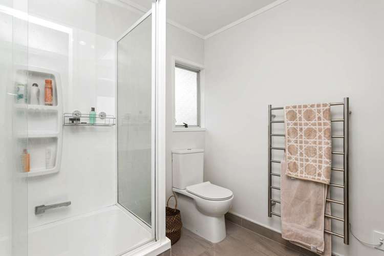 Stottholm Road Titirangi_9