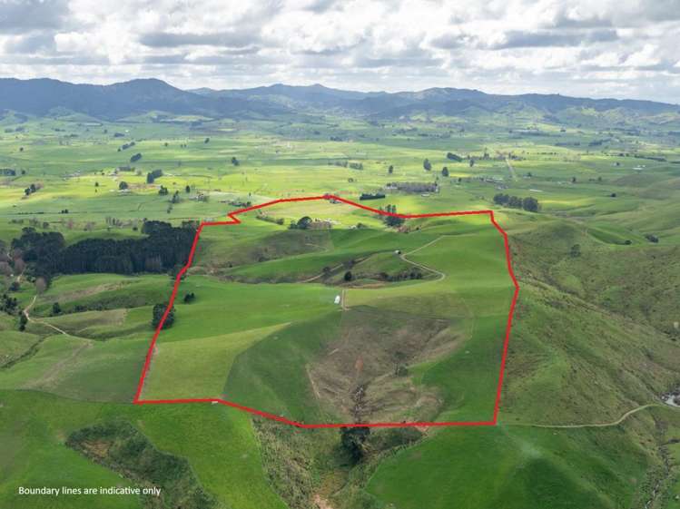 652 Tainui Road Morrinsville_22