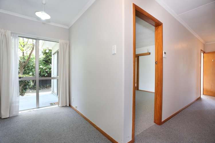 8 Nairn Crescent Awapuni_9