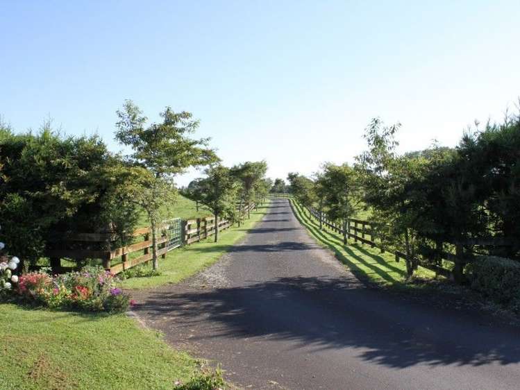 1355 Mountain Road Inglewood_14