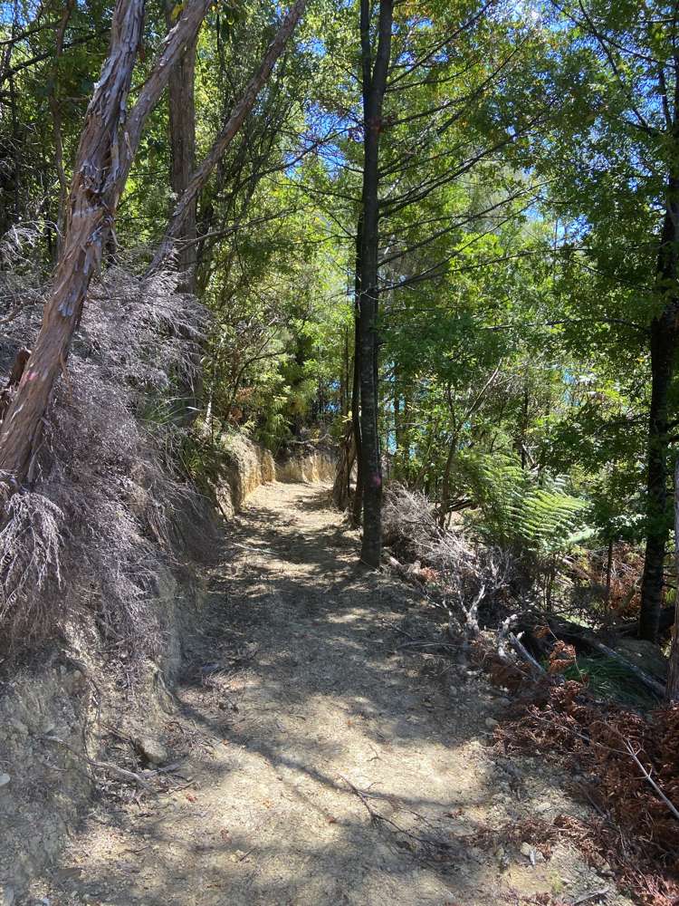 Croisilles-French Pass Road Okiwi Bay_14