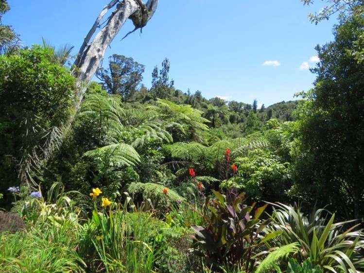 2 Mahakirau Road Coromandel_5