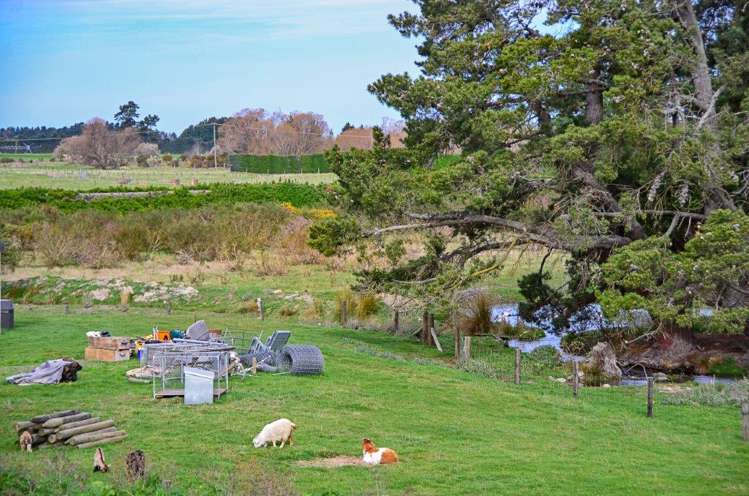 3127 Coaltrack Road Coalgate_11